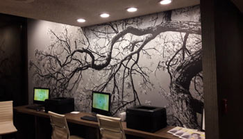 Custom Wallpaper and Wall Wrap Printing in Tucson done right!